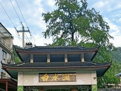 -众神白水涧景区