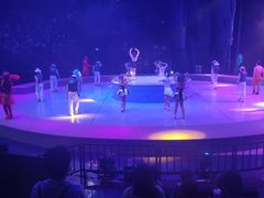 -重庆国际马戏城