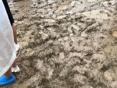 -上海国际音乐村