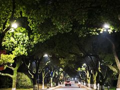 -浙江大学(玉泉校区)