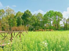 -洪湖家庭农场·团建·露营·会议