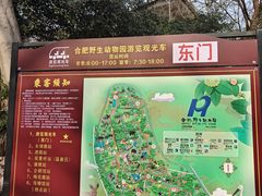 -合肥野生动物园