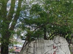 -金鸡湖桃花岛