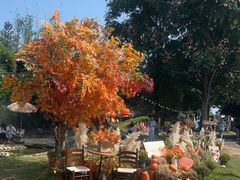 -HERRE·FARM 赫尔露营农场·团建聚会包场