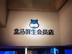 -盒马鲜生(大成店)