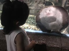 -苏州海洋馆