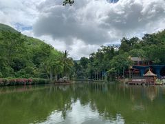 -西双版纳原始森林公园