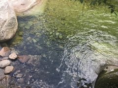 -青峰峡国家森林公园