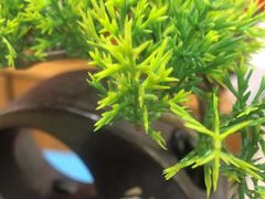 -花鸟鱼私家小厨·川菜(文殊院店)