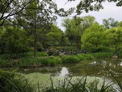 -长广溪湿地公园