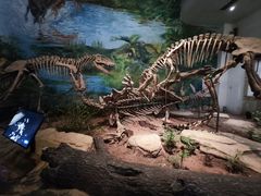 -自贡恐龙博物馆