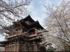 -上海青龙寺