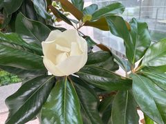 -南京市规划建设展览馆