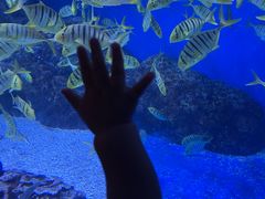 -成都浩海立方海洋公园