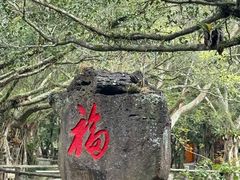 -海口火山口国家地质公园