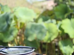 -渭南桃花源民俗文化园