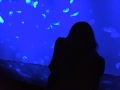 -暹罗海洋世界