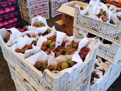 -西郊国际农产品交易中心