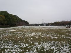 -昆山城市生态森林公园