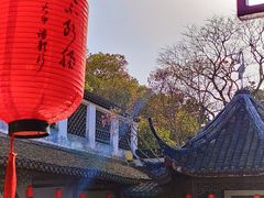 -上海醉白池公园