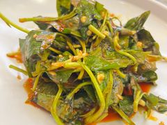 -成都驻京办餐厅(蜀都宾馆店)