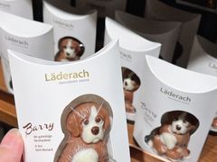 -Laderach 莱德拉(上海环贸iapm店)