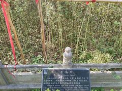 -汤阴县羑里周易博物馆