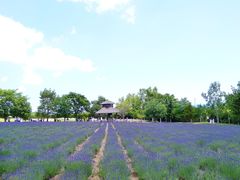 -富田农场
