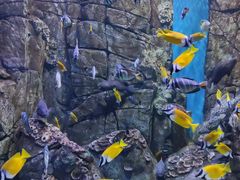 -成都浩海立方海洋公园