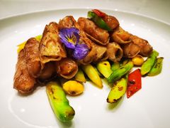 -丁老爷子苏香圆