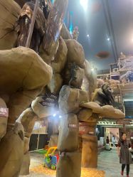 -卡通尼·Safari非洲探索乐园·生日会(金桥国际商业广场店)