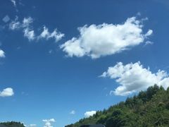 -野狸岛