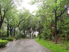 -燕晗山郊野公园