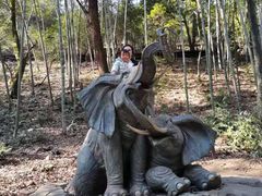 -石燕湖生态旅游景区