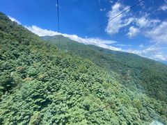 -苍山感通索道