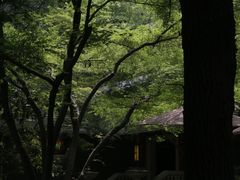 -九曜山