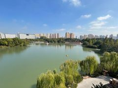 -青枫公园