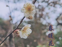 -无锡梅园公园