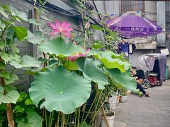 -EATALIA意塔利意式餐厅(鼓楼店)