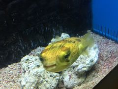 -北戴河圣蓝海洋公园