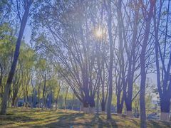 -长白岛森林公园