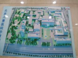 -首都医科大学附属北京儿童医院