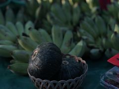 -Bamboo Saturday Market(Nana Jungle)