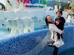 -珠海横琴长隆《卡卡虎奇遇记》