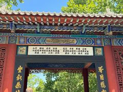 -大槐树寻根祭祖园