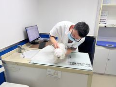 -宠福鑫动物医院(立水桥分院)