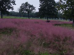 -汉长安城未央宫国家考古遗址公园