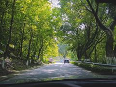 -广州市石门国家森林公园