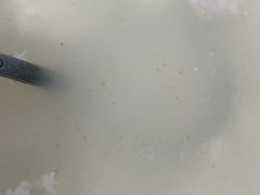 -无味饭店(九眼桥商业文化广场店)