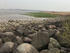 -吴淞炮台湾湿地森林公园烧烤区